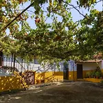 Quinta De Franca - Douro 페소다레과