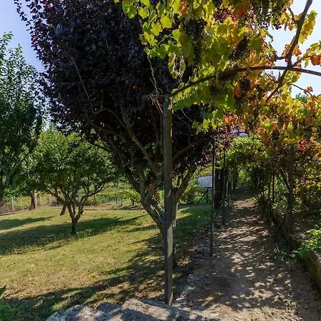 Quinta De Franca - Douro * Peso da Régua