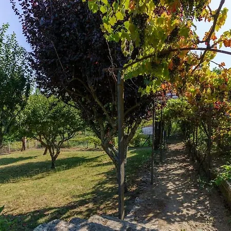 Quinta De Franca - Douro * Peso da Regua