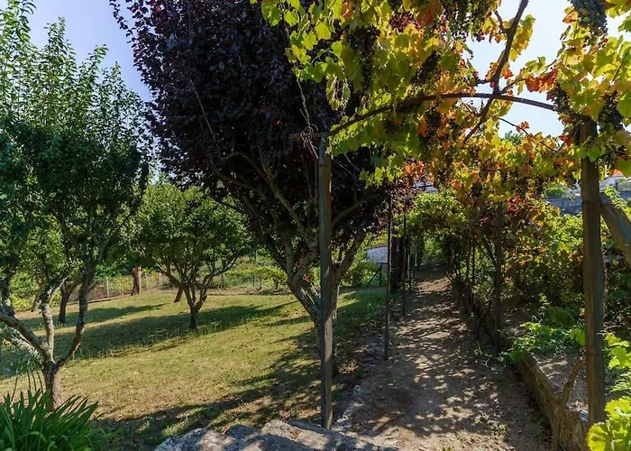 Quinta De Franca - Douro * Peso da Régua